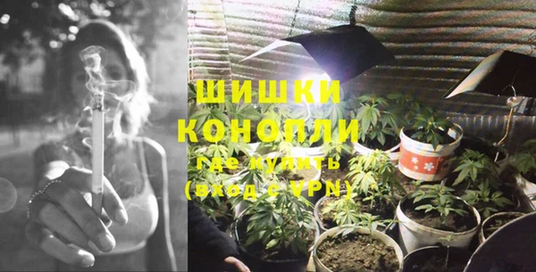 крисы Верхний Тагил