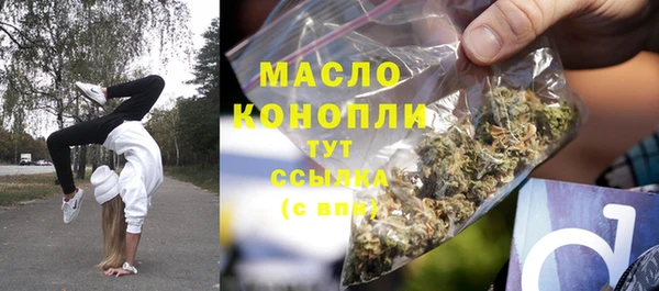 индика Волоколамск