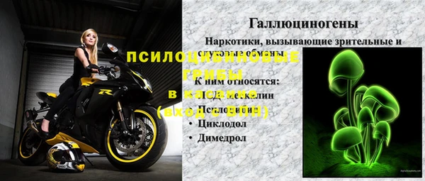 ГАЛЛЮЦИНОГЕННЫЕ ГРИБЫ Бугульма